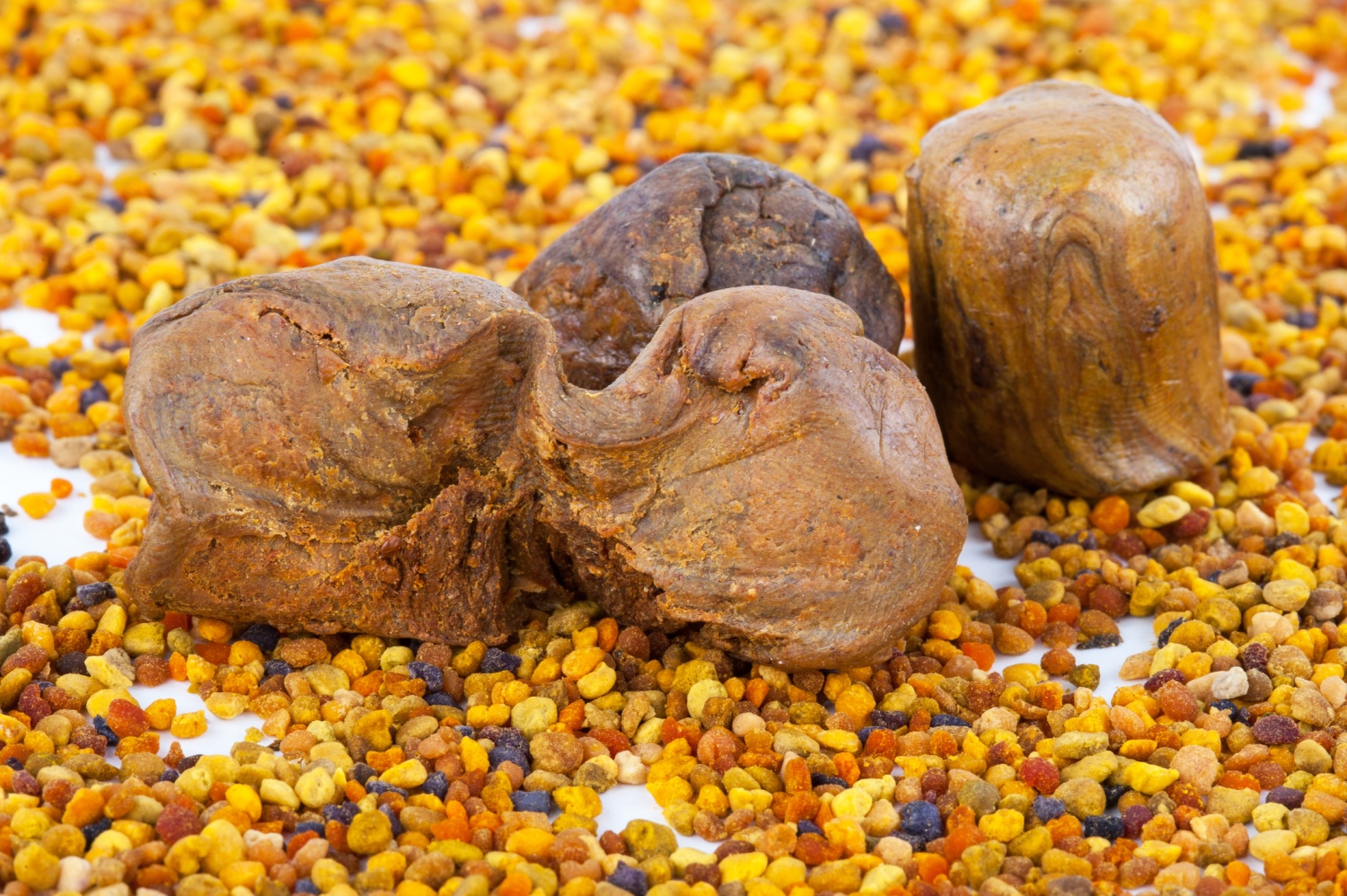 propolis krupni plan